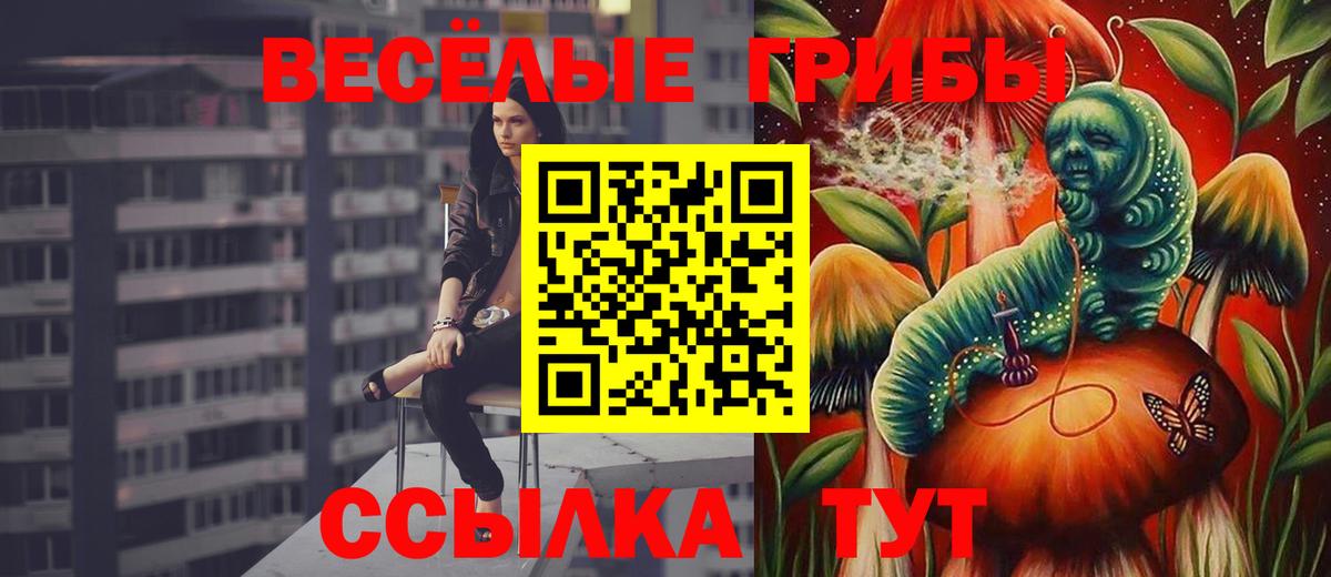 Избербаш  где купить наркотик  Вход с VPN  Галлюциногенные грибы Cubensis  Псилоцибиновые грибы мухоморы 